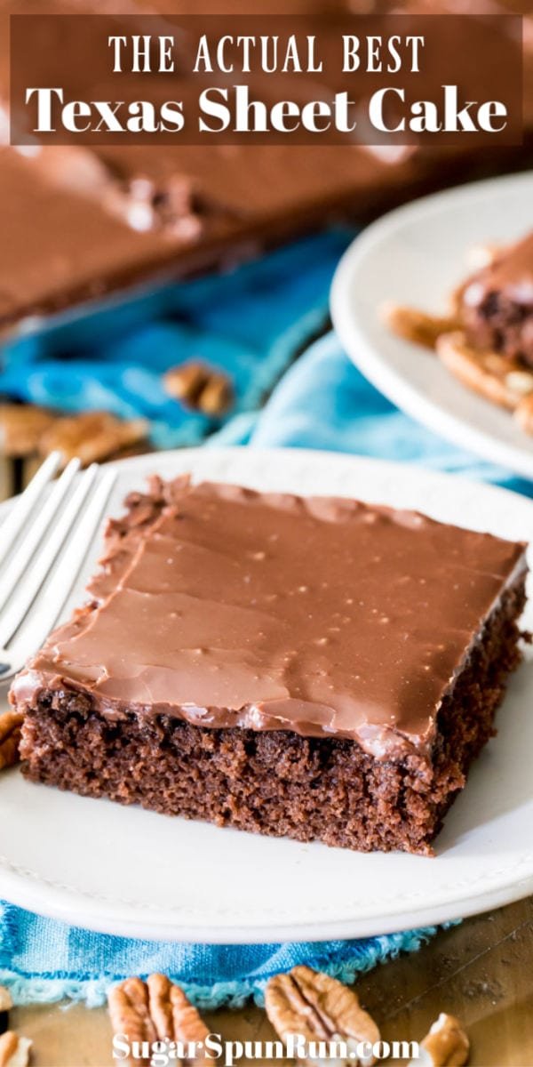 Texas sheet cake on white plate