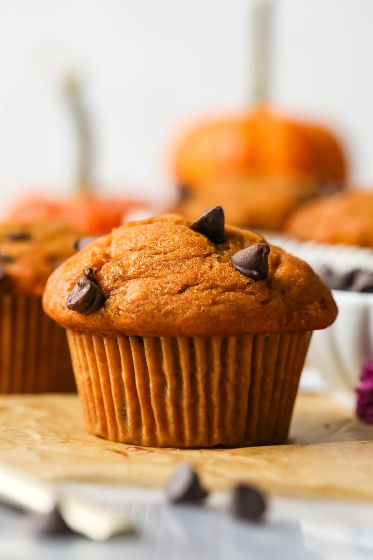 Close-up view of a pumpkin chocolate chip muffin.